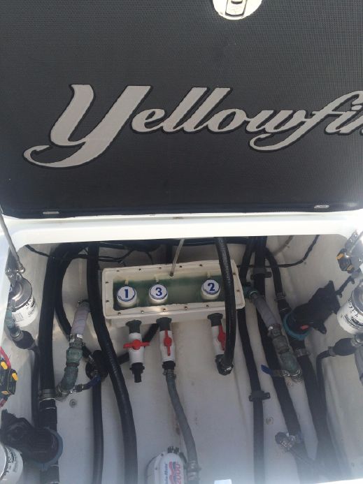 Yellowfin 390 CC 2014 Access