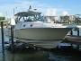 Pursuit 3370 2004