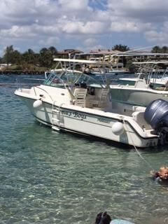 Pursuit 2470 Walkaround 2003